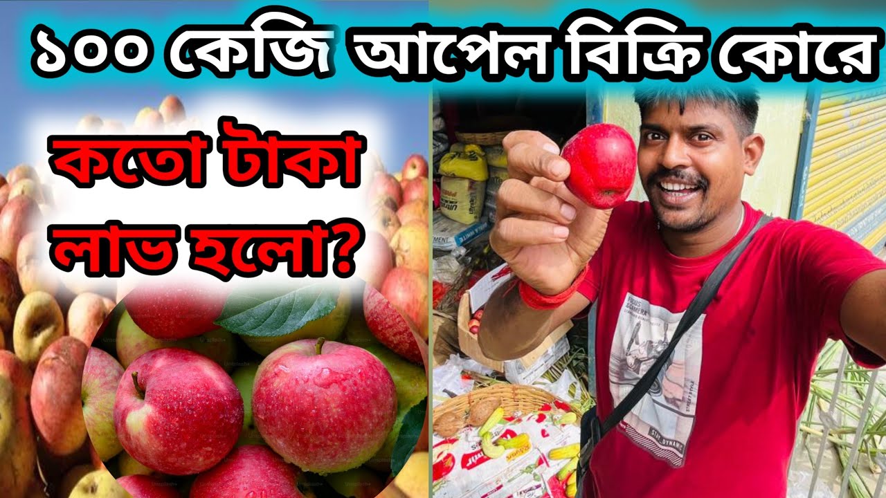 ১০০ কেজি আপেল বিক্রি কোরে কতো টাকা লাভ হলো || wholesale Apple market #apple #fruitmarket 