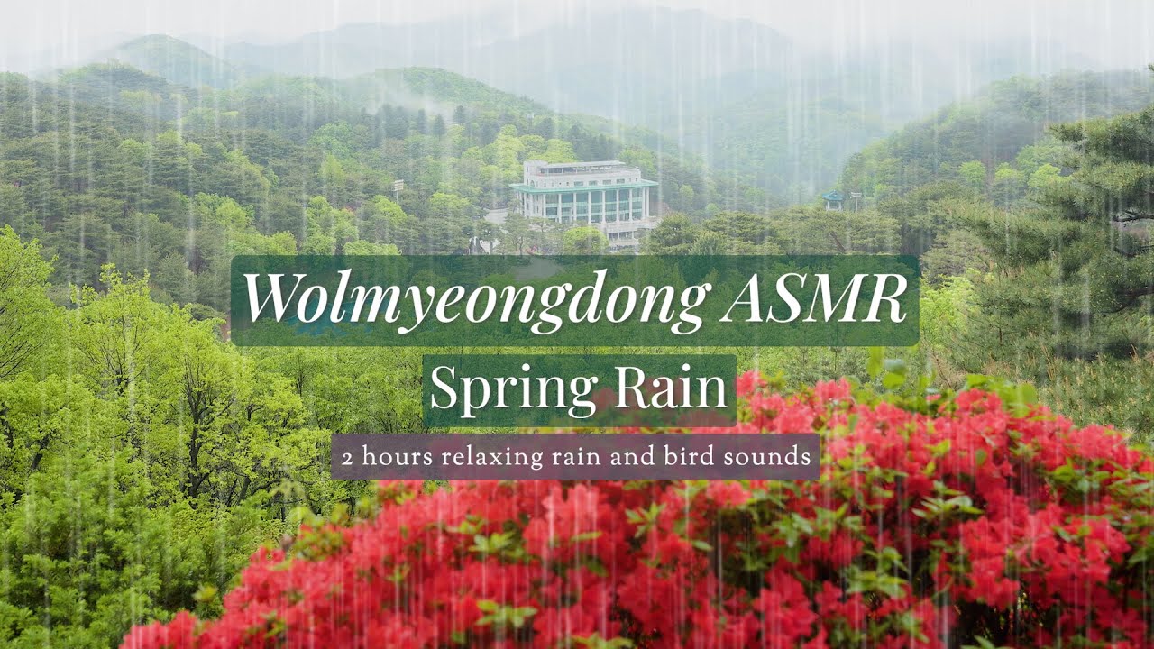 𝐀𝐒𝐌𝐑 Relaxing Spring Rain at Wolmyeongdong Natural Temple (2 Hours) 🌧️ 월명동 봄 빗소리 2시간 연속 듣기