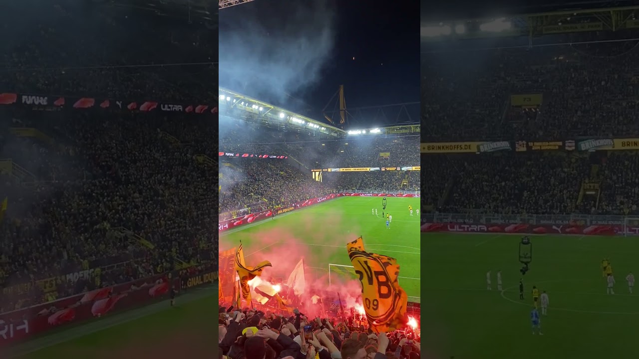 BVB Fans auf der S&uuml;d nach dem Tor gegen K&ouml;ln !!! 🖤💛🤝🏼❤️🤍#bvb #bundesliga