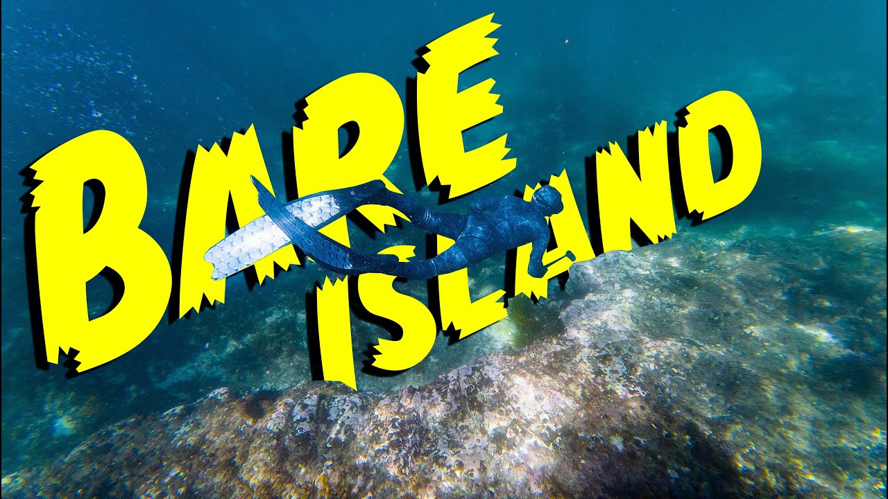 Snorkelling Bare Island