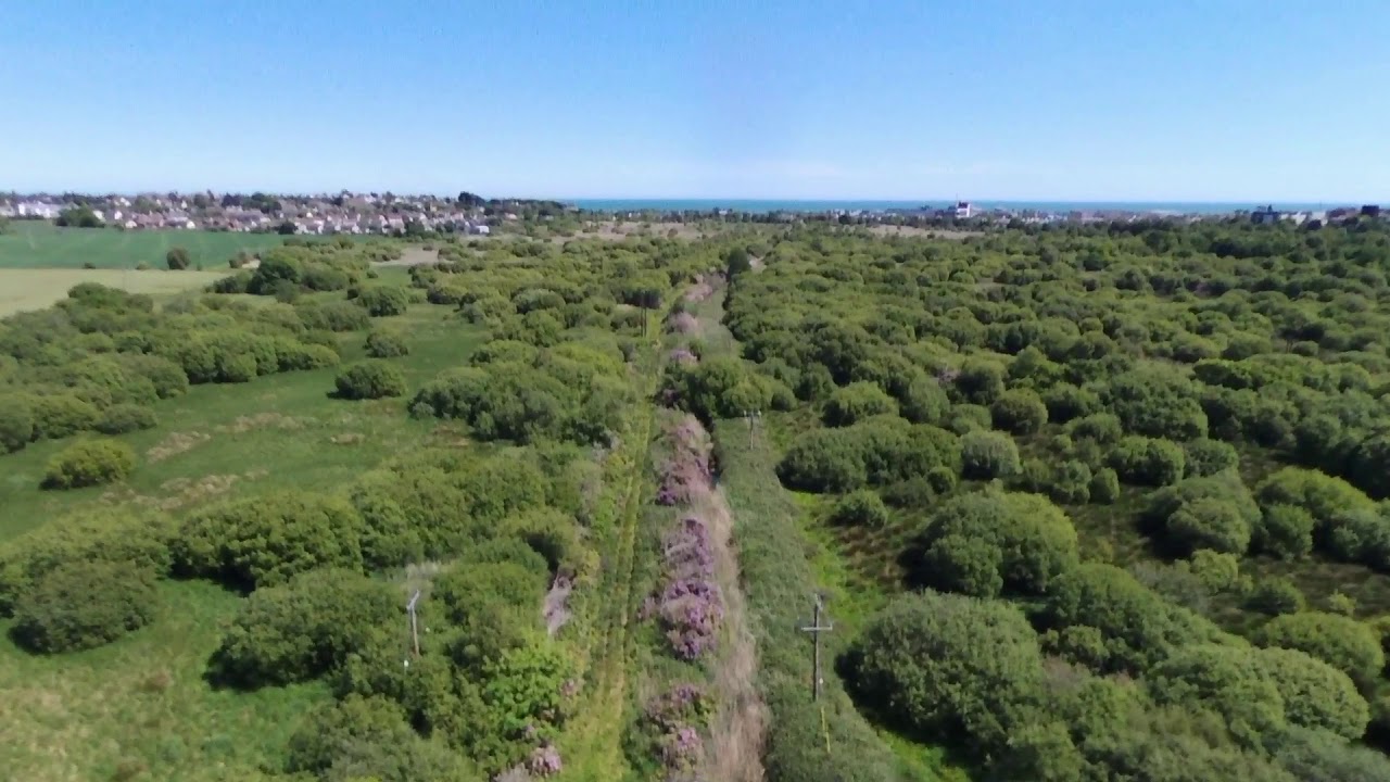 Arklow Marsh Walk Route