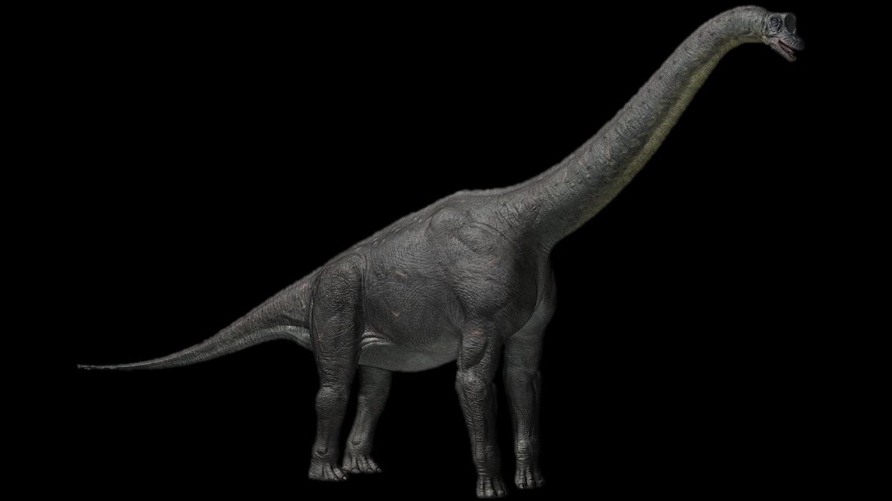 Last Day of the Dinosaurs [2010] - Alamosaurus Screen Time