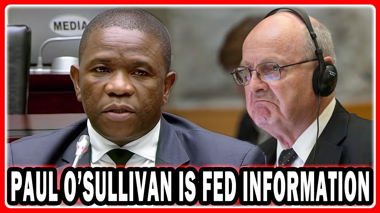 LT. General Mkhwanazi At AD HOC Committee “Paul O’Sullivan Said You Don’t Security Clearance”