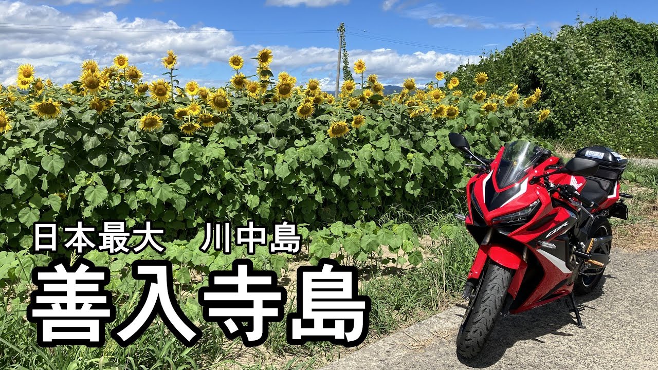 【バイク車載】日本最大 川中島 善入寺島 散歩ツーリング