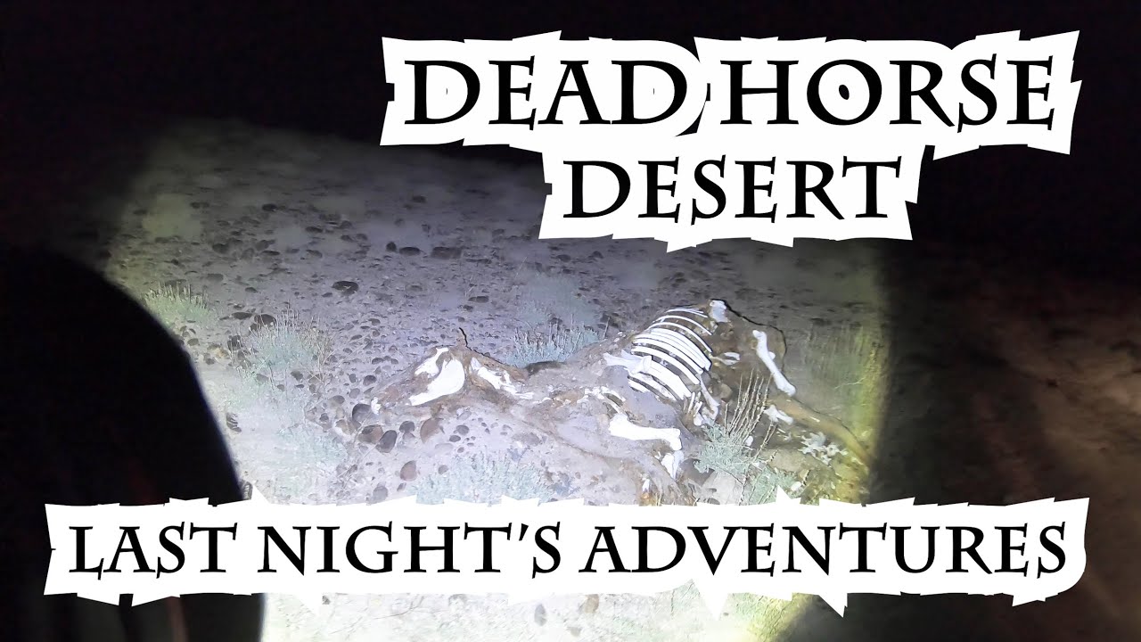 GARMIN INREACH MINI EARTHMATE APP | Deadhorse Desert Exploration | Last Night's Adventures 1