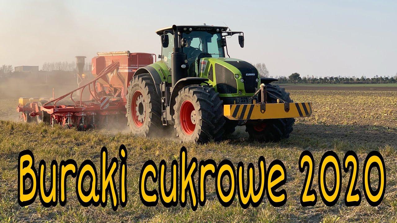 #312- Pasowy siew buraków 2020! Czajkowski ST600+ Claas Axion 950! (Rozbiłem drona... )