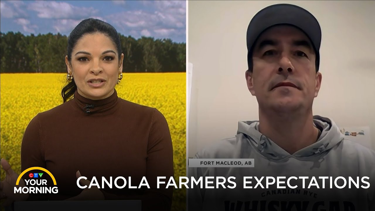 Canola Farmers Expectations | Your Morning