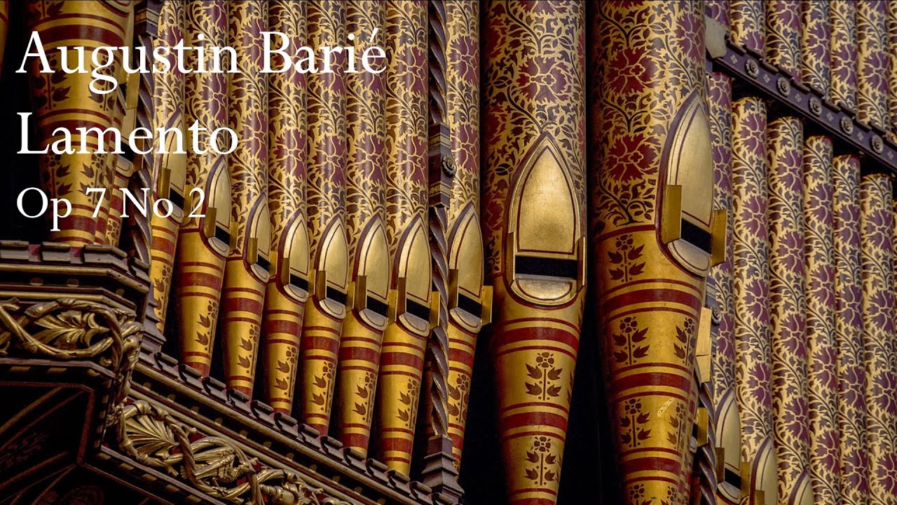 Daniel Cook plays Lamento Op 7 No 2 by Augustin Barié from Durham Cathedral
