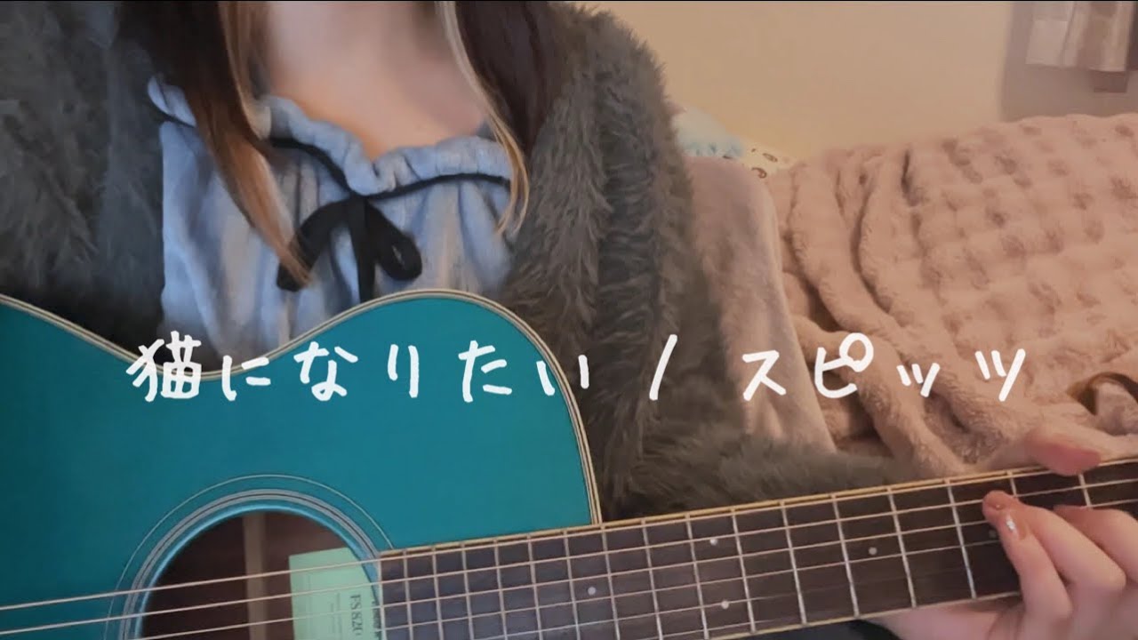 猫の日^._.^【弾き語り】猫になりたい / スピッツ
