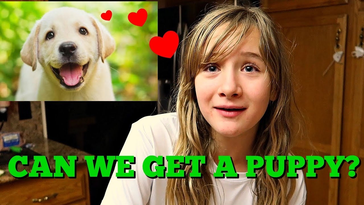 CAN WE GET A PUPPY?! - TOY WISH LIST FOR THREE KIDS - CRAZY TODDLER GAMES