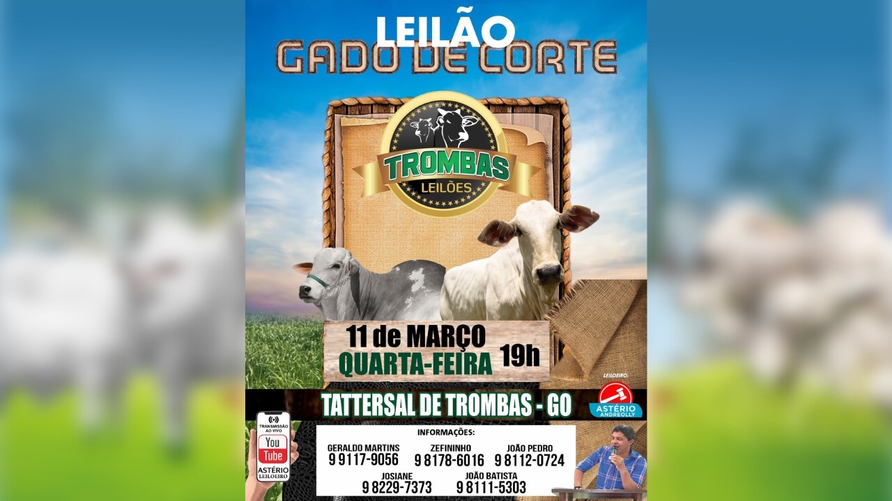 LEILÃO DE GADO DE CORTE TROMBAS LEILÕES - TROMBAS GOIAS  - 11 / 03 / 2026