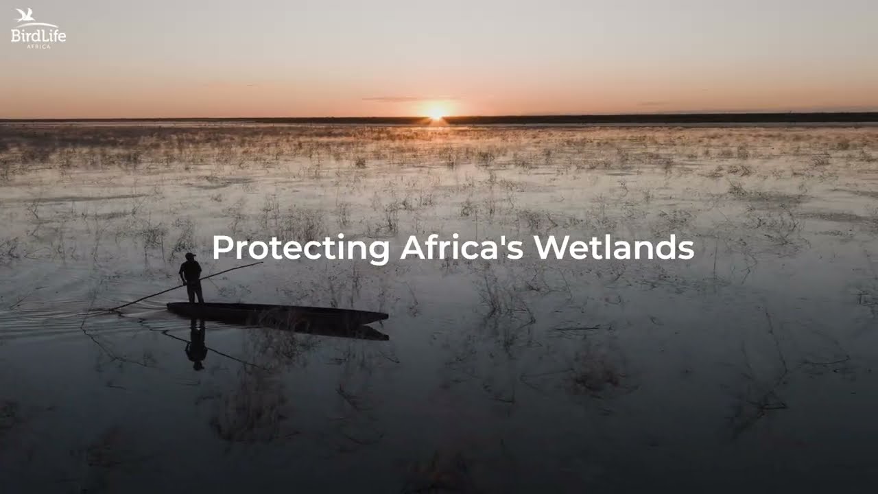 Protecting Africa's Wetlands