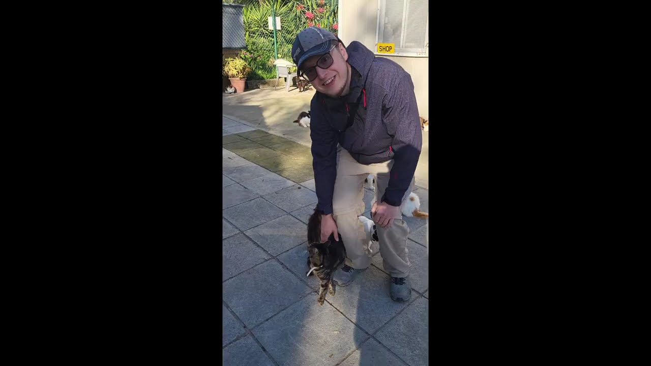Schronisko dla kotów na Cyprze- Koty Malkolma (Malcolm Cat Protection Sociaty Cyprus)