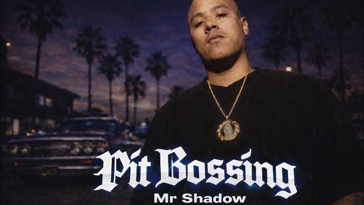 Mr. Shadow - Pit Bossing [187 R3Mix]