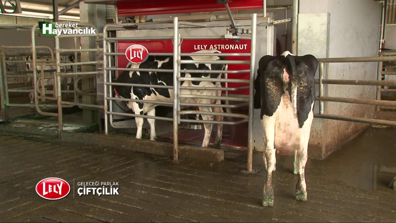 Lely ile Geleceği Parlak Çiftçilik 5. Bölüm