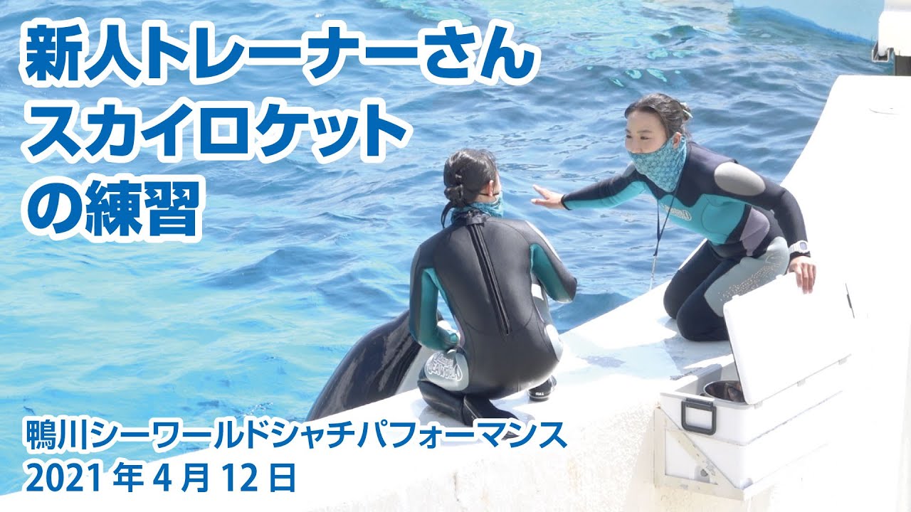新人トレーナーさん　スカイロケットの練習【2021年4月12日】Orca performance, Kamogawa Sea World, Japan