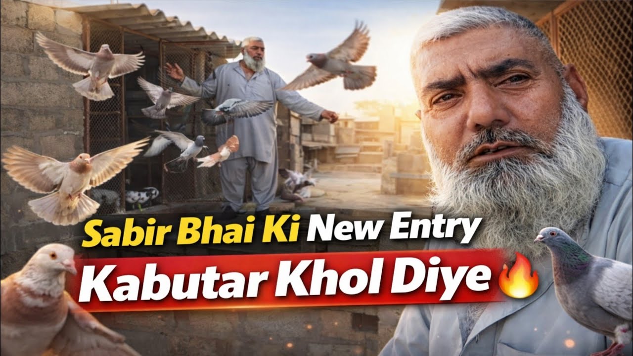 Sabir Bhai Ki New Kabutar Entry 🕊️ | Aaj Loft Me Kholay Gaye Khubsurat Kabutar 😍🔥