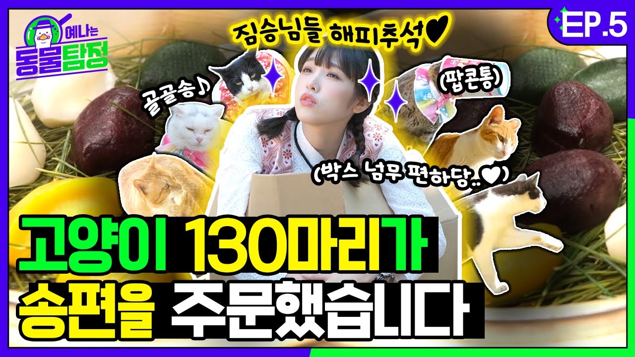[SUB] 손님! 주문하신 송편 130개 나왔습니다...!? 고양이는 송편을 먹을까🐱?ㅣ예나는동물탐정 EP.05