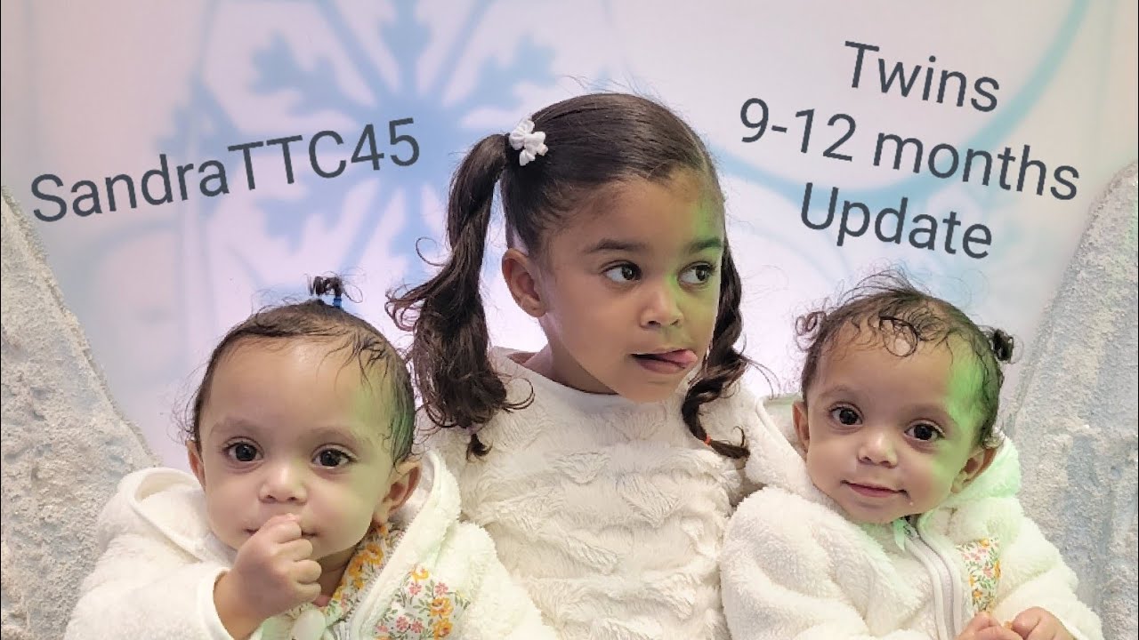 9-12 months Twins Update. My IVF babies. Single Mom By Choice using Double Donors. TTC