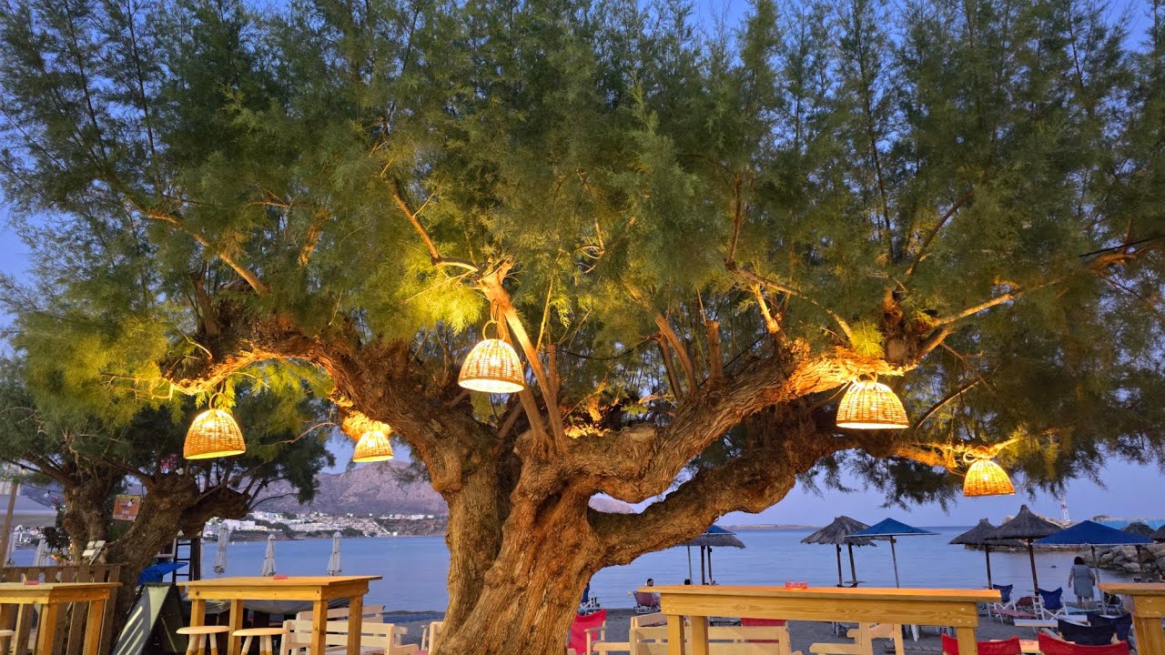 Crete Makrigialos, evening stroll June 2025. Makry Gialos. Makrygialos.@zensoryoverload