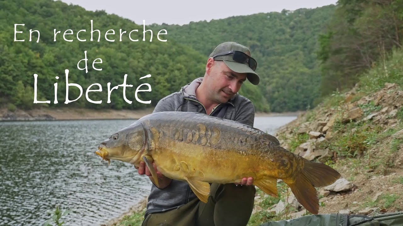 En recherche de liberté - CARP FISHING - Pêche de la carpe en lac de barrage