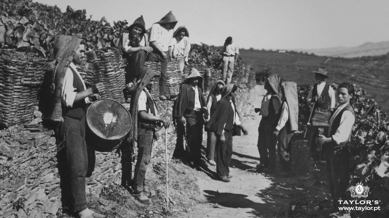 The History of Port Wine