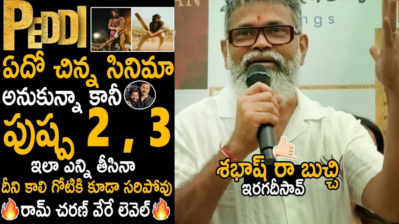 Director Sukumar Mind Blowing Comments About 