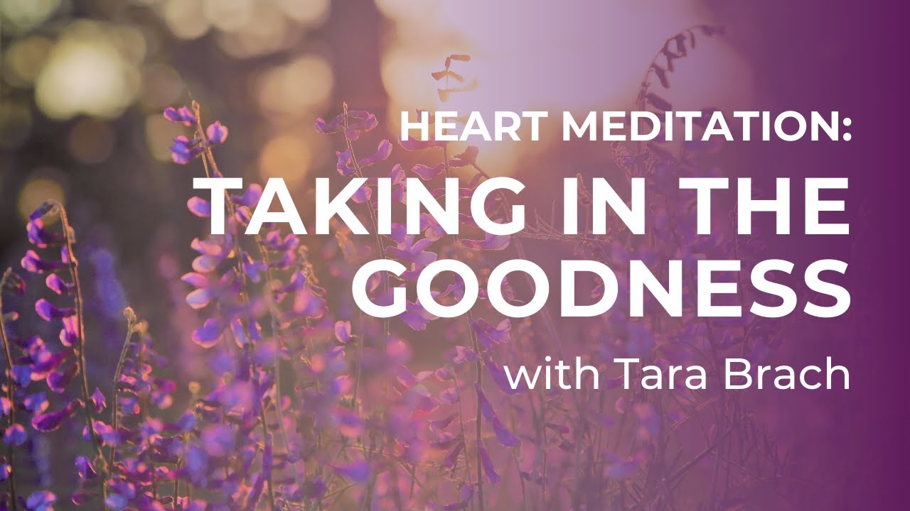 Heart Meditation: Taking in the Goodness with Tara Brach