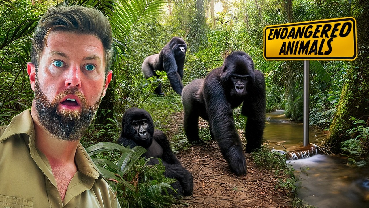5 Rare Animal Encounters That Could Soon Be Gone Forever