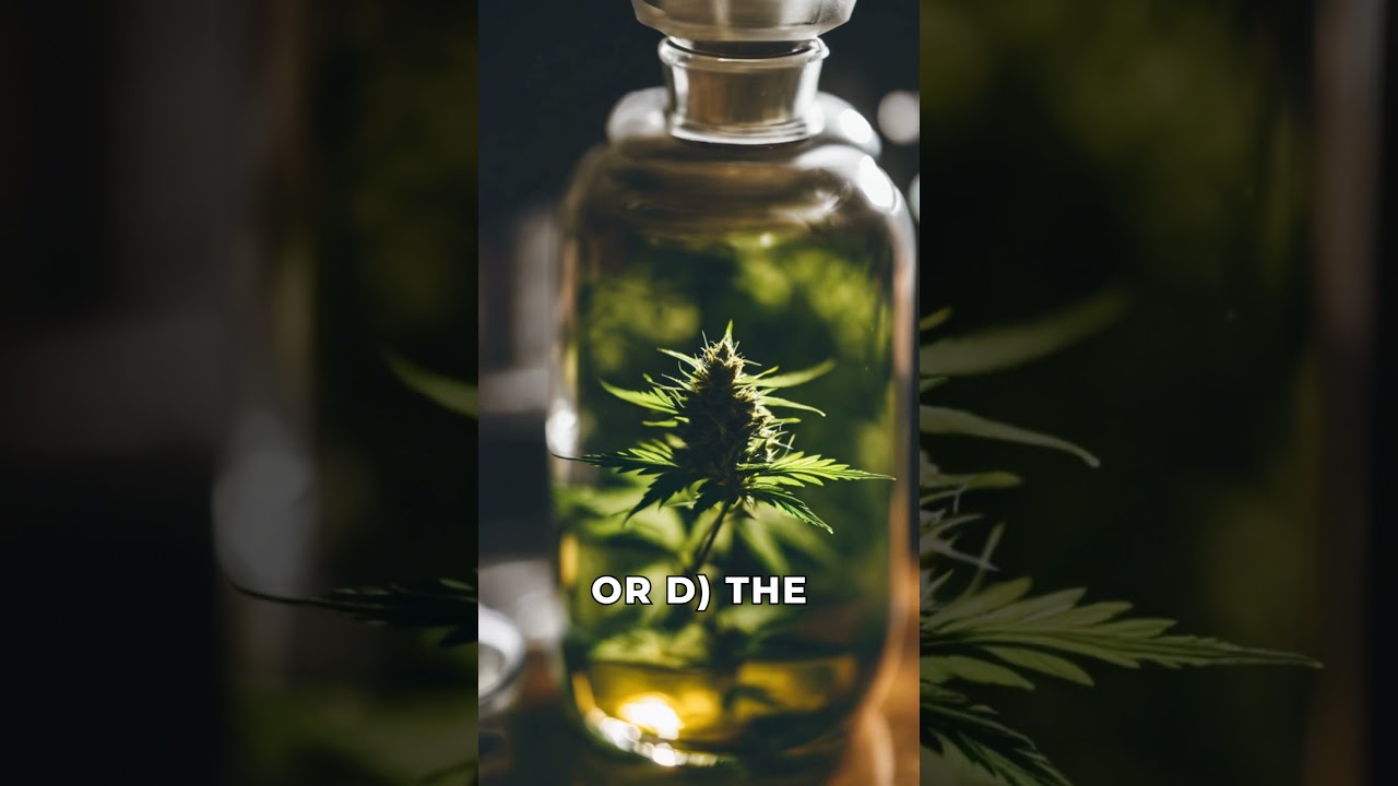 Rosin vs. Resin in Cannabis #cannabisquiz, #cannabiseducation,