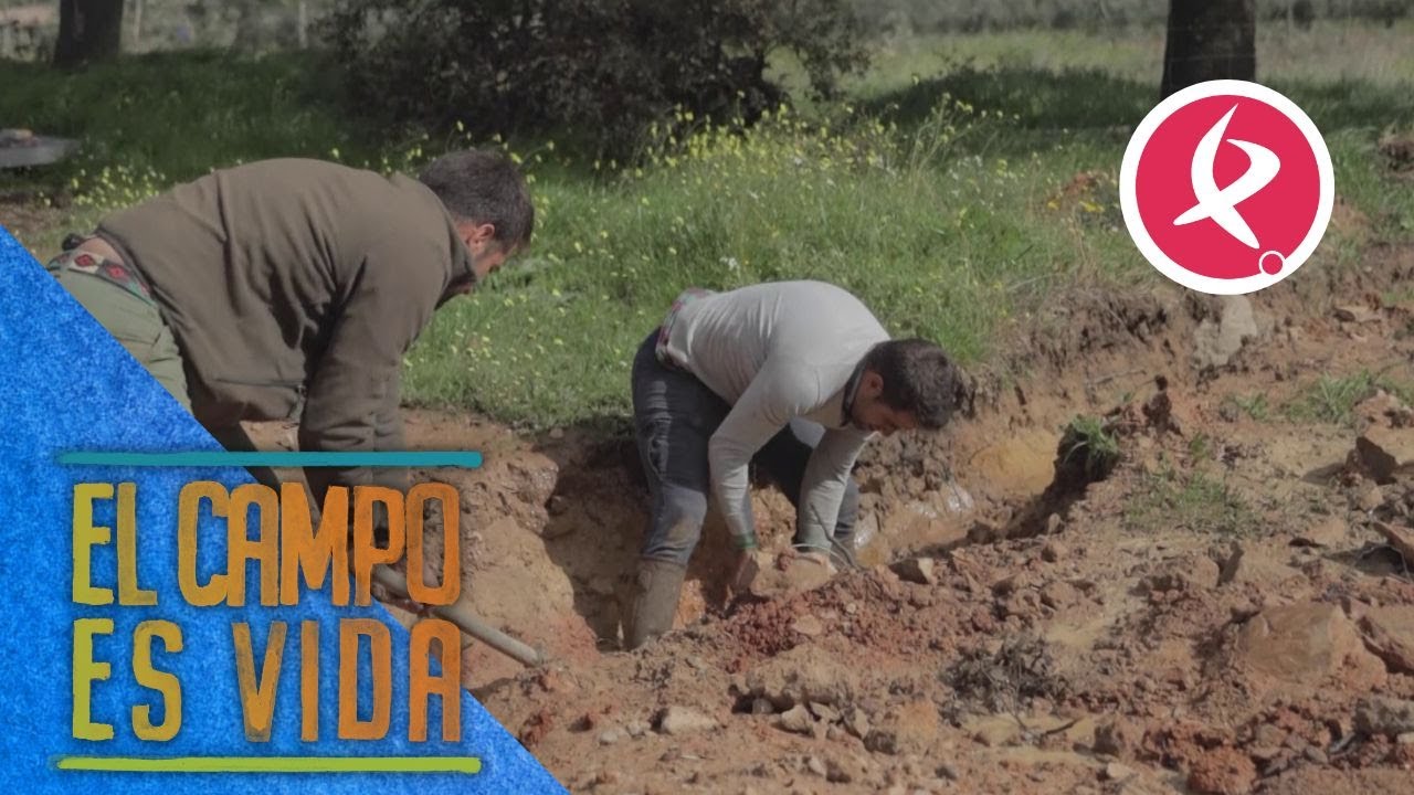 Los Mellis tienen que achicar agua | El campo es vida