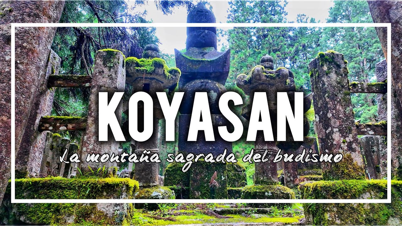 KOYASAN | Descubre el Corazón del Budismo en Japón