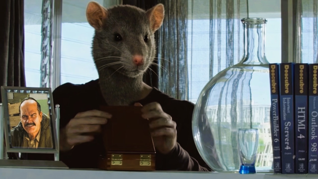 Certified Shoreline Rat Behavior