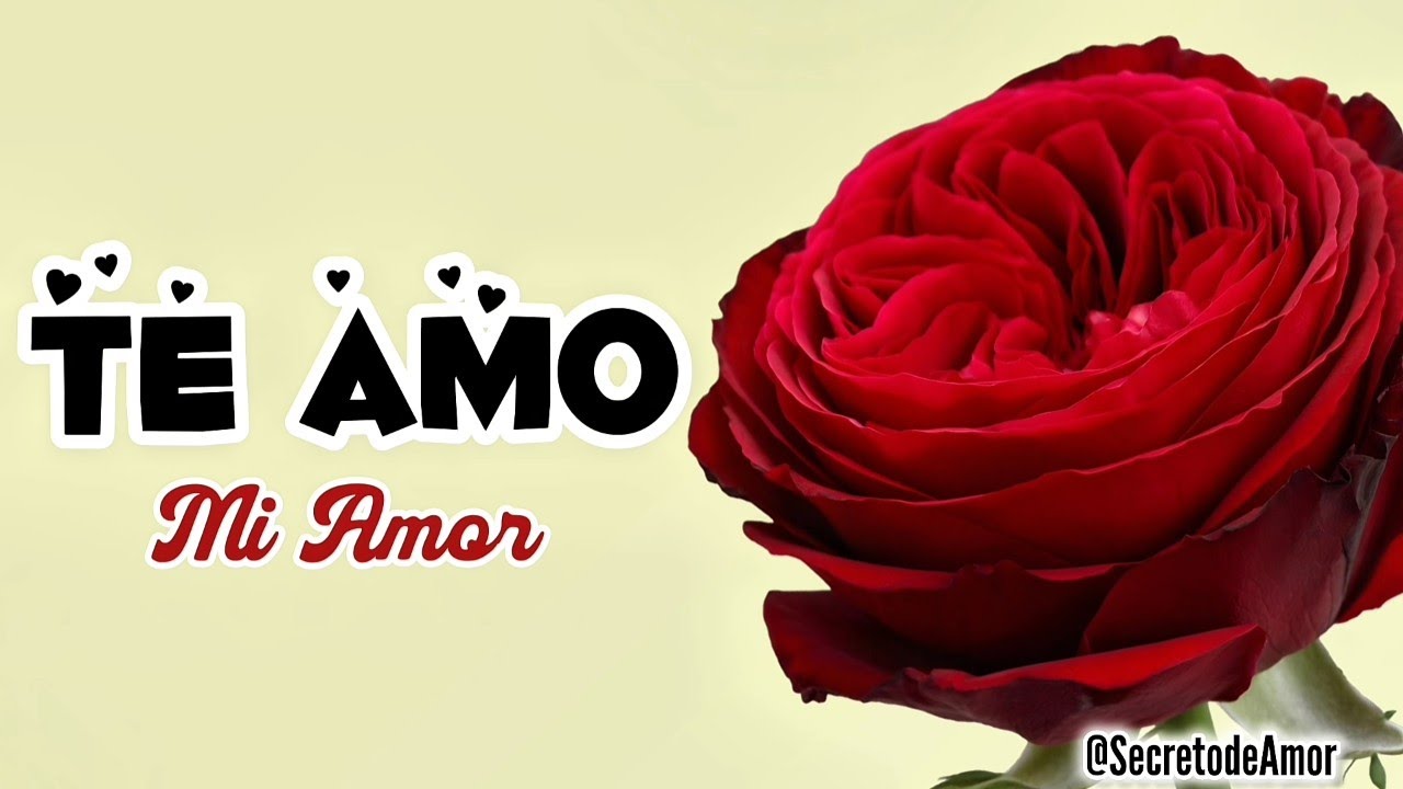 TE AMO MI AMOR ábrelo bonito VÍDEO DE AMOR para dedicar 