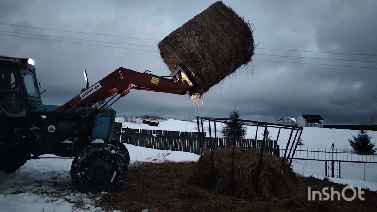 Зимнее кормление КРС Герефорд,обзор кормушек