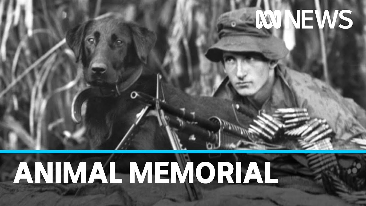 New war memorial honours military working dogs | ABC News