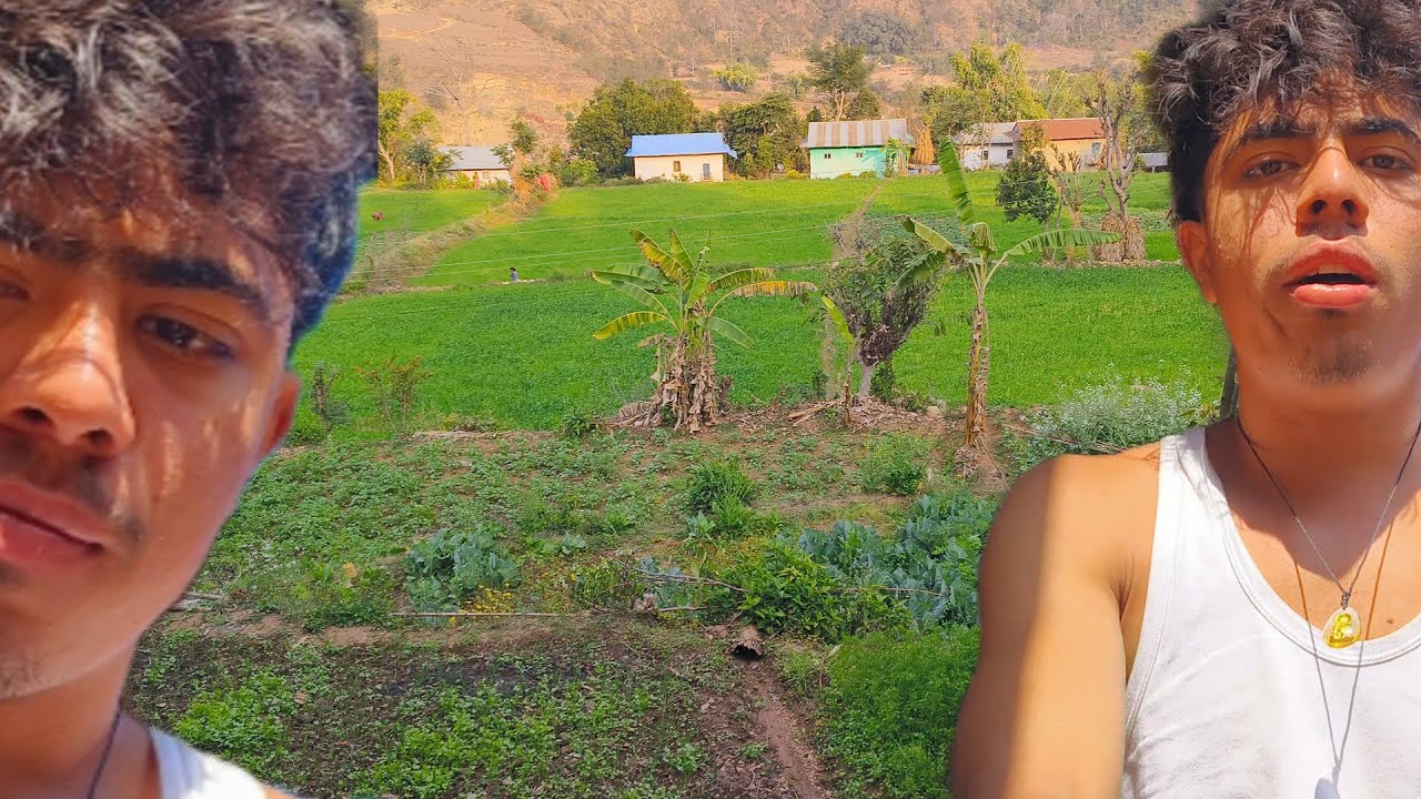 Mitti se thali tak: My Home Garden Journey 