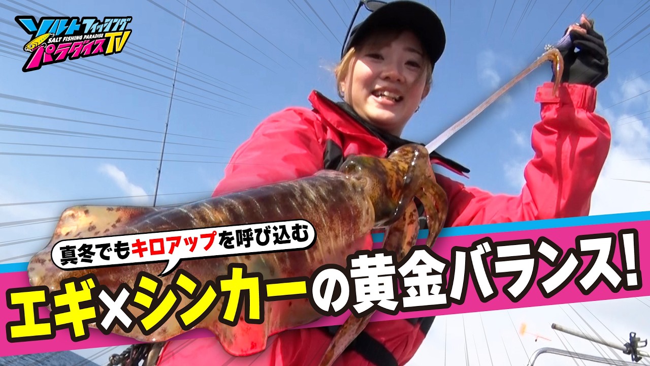 必見！釣果に直結するシンカー選び！厳寒期に良型連発のティップランエギング！（ソルパラTV・2026年2月20日公開）