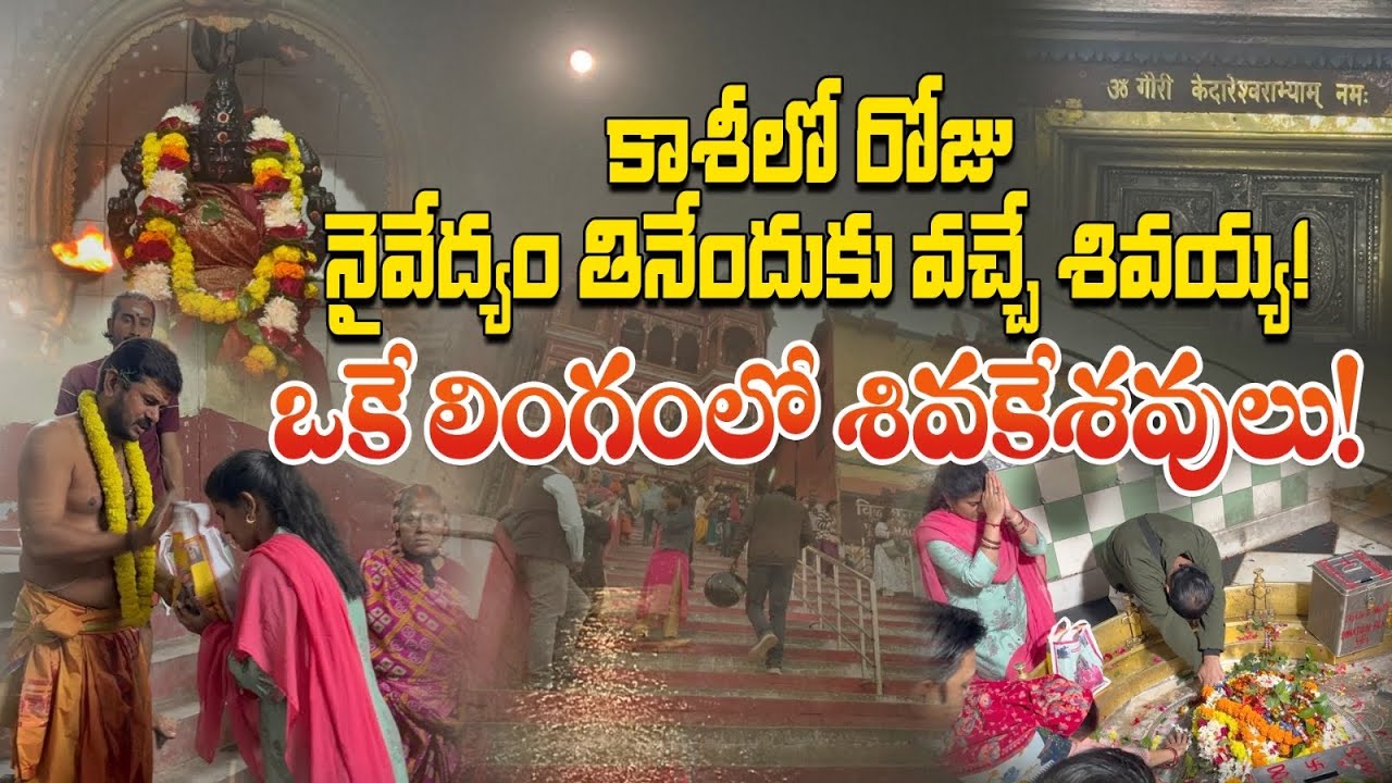 శివయ్య వచ్చి నైవేద్యం తింటాడా? సాయంత్రం 4కి ఏమైందో తెలుసా! Kasi Kedara Gowri Ghat Full Tour 2025 |