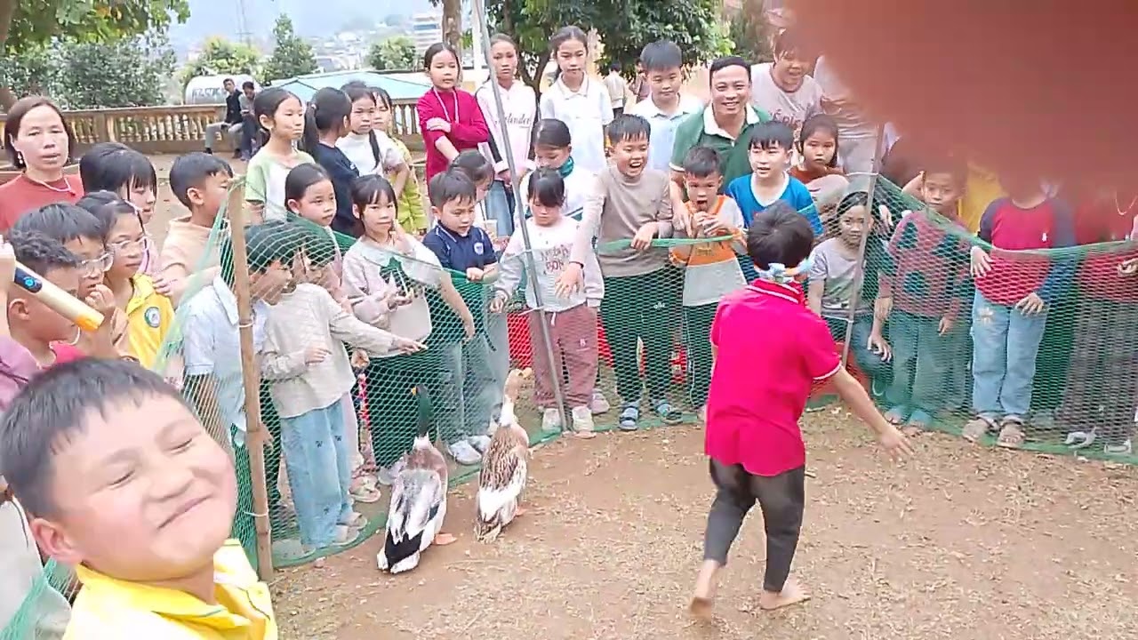Bịt mắt bắt vịt tập 1#trainghiem#