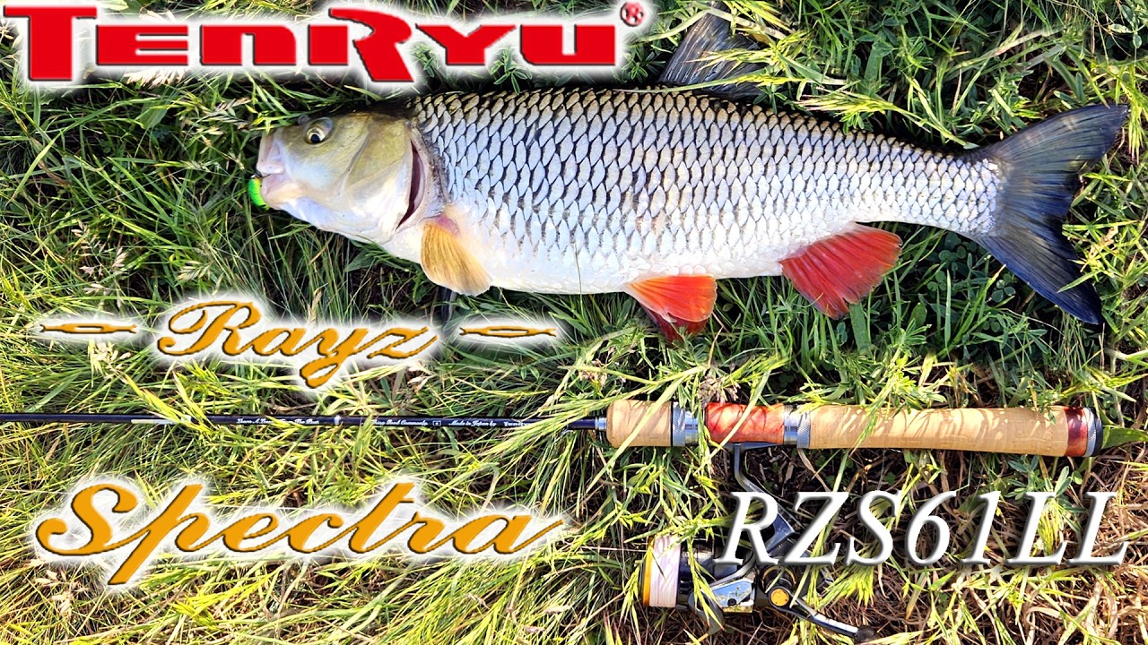 Обзор Tenryu Rayz Spectra RZS61LL на весенних рыбалках. 61-ая Спектра, малая река и голавли. v.1.1
