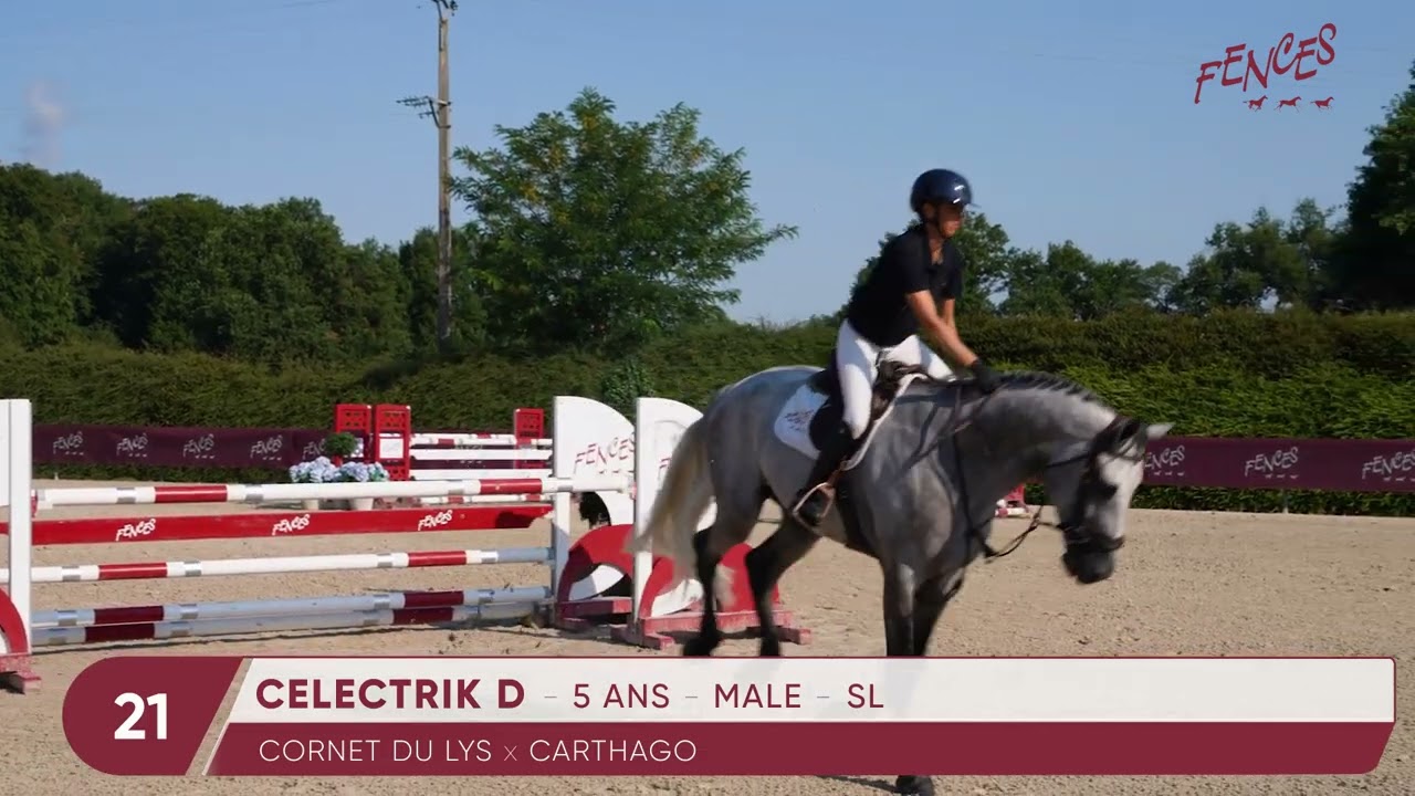 21 - CELECTRIK D