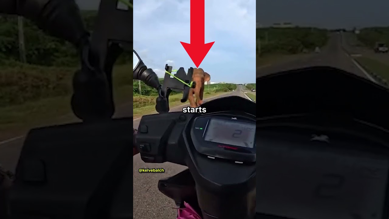 Biker Gets Chased By A Elephant