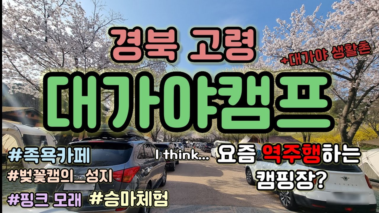 경북 고령 대가야캠프 | 역주행하는 캠핑장 | 대가야 생활촌 | 핑크모래 | 고령어린이과학체험관 | 족욕카페 | 승마체험 