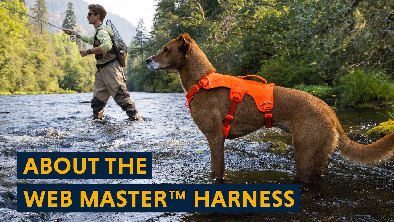 About the Web Master™ Harness