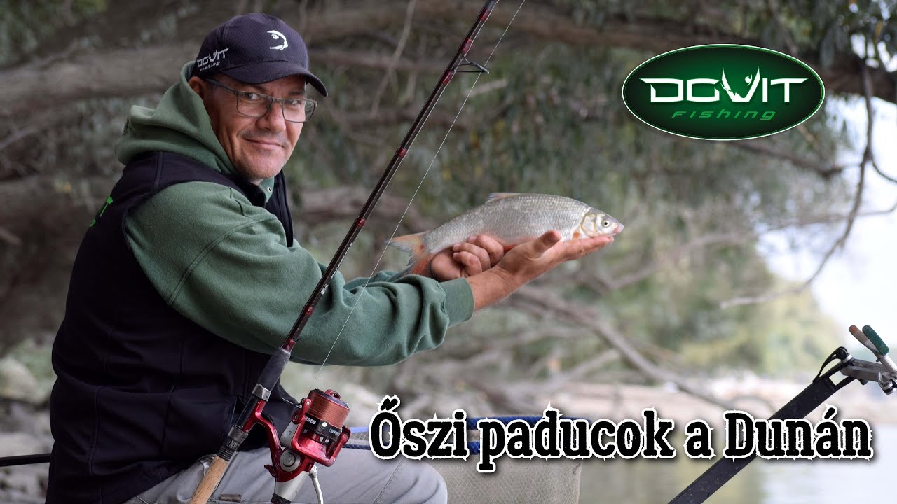 DOVIT FEEDER - Őszi paducok a Dun&aacute;n (VLOG)