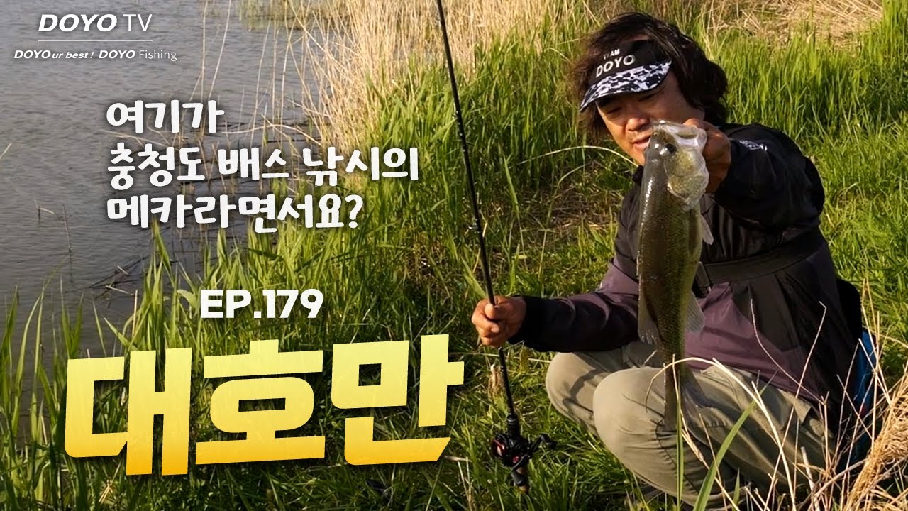 [도요TV ep.179] 충청도 배스 낚시의 메카 대호만! 과연 오늘의 조황은..?