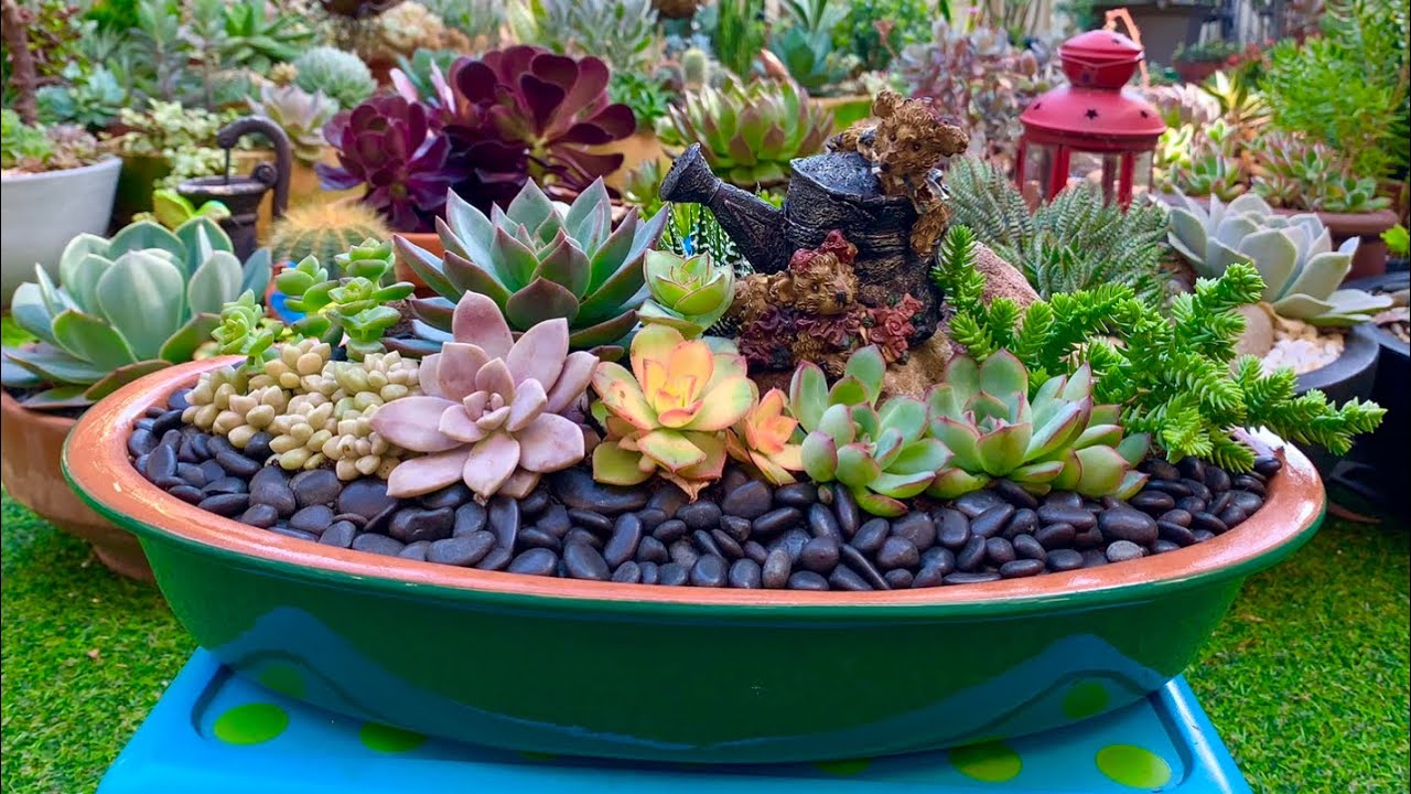 Succulent Arrangement Table Centerpiece