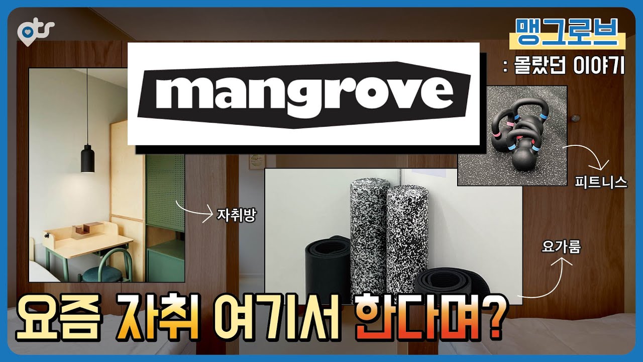 혼자 살래? 같이 살래? '맹그로브'의 몰랐던 이야기 (˵⚈ε⚈˵)