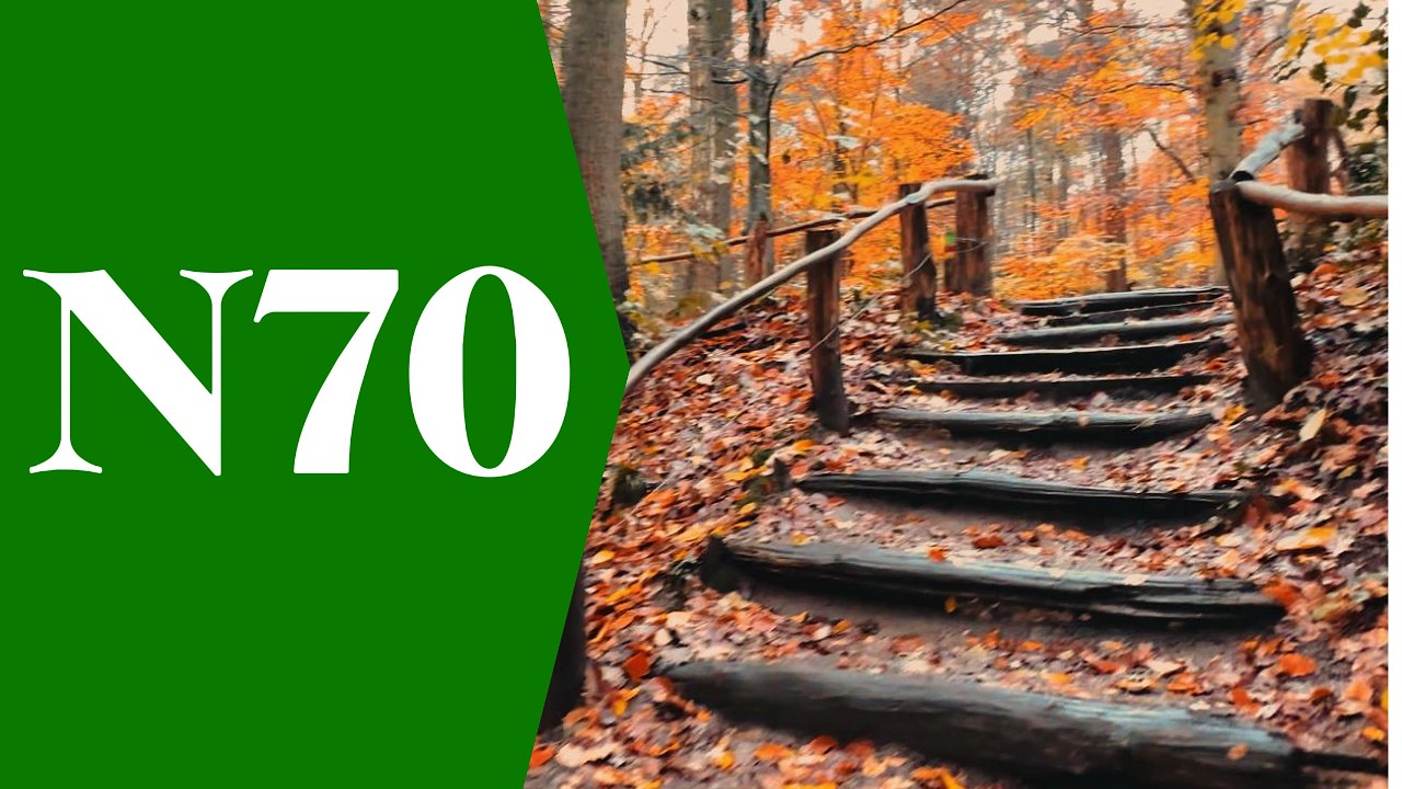 Ontdek de Prachtige N70 Wandelroute | Avontuur in de Natuur
